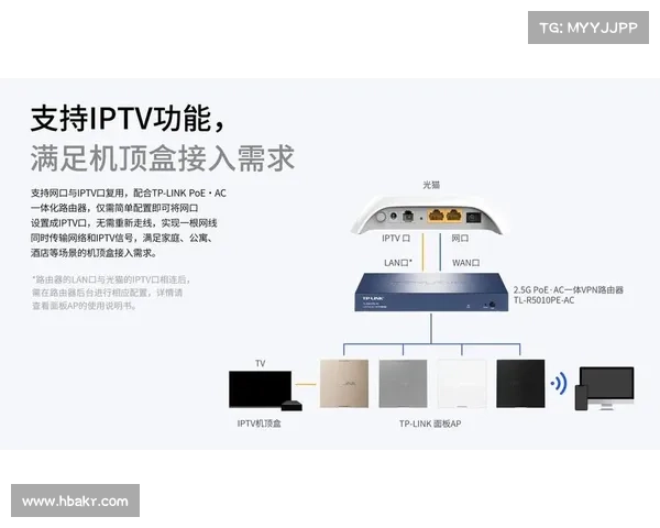 家庭黑客攻击可能与TP 家庭黑客攻击可能与TP